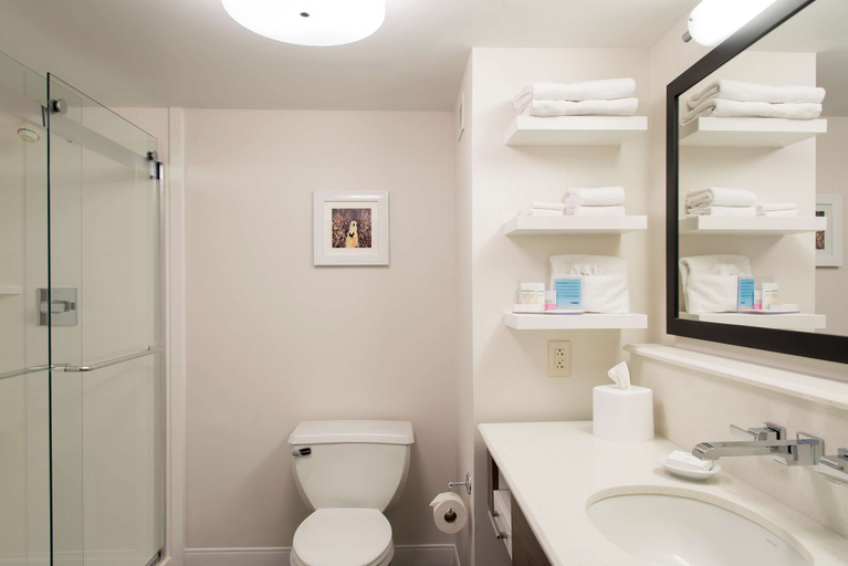 Bathroom 4, Hampton Inn Seymour, Jackson