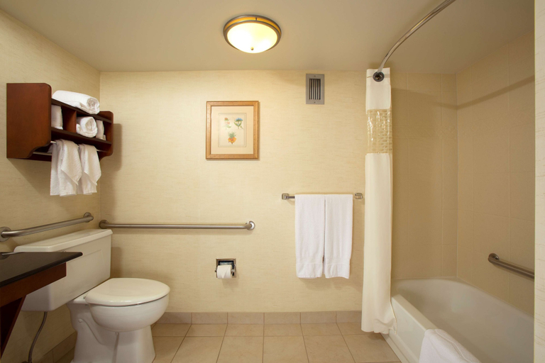 Bathroom 4, Hampton Inn Alexandria/Pentagon South, Arlington