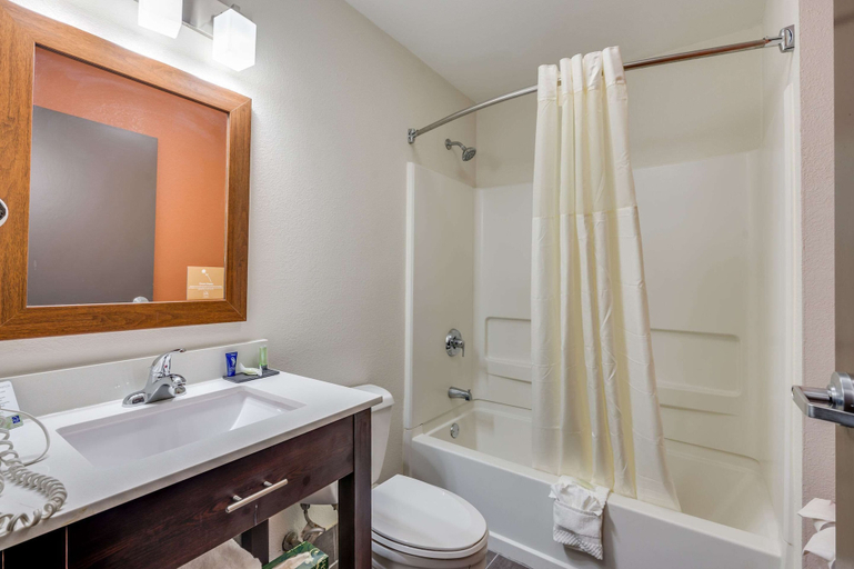 Bathroom 4, Sleep Inn & Suites Decatur West, Morgan