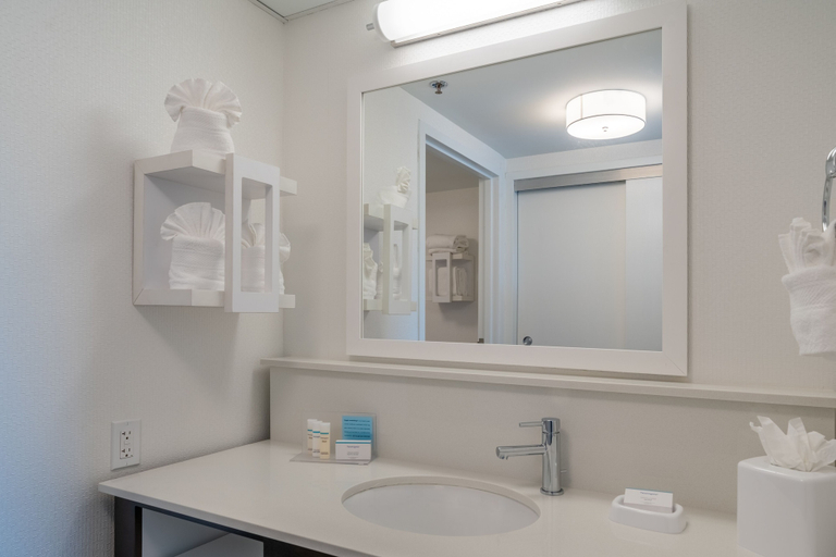 Bathroom 4, Hampton Inn & Suites Valley Forge/Oaks, Montgomery