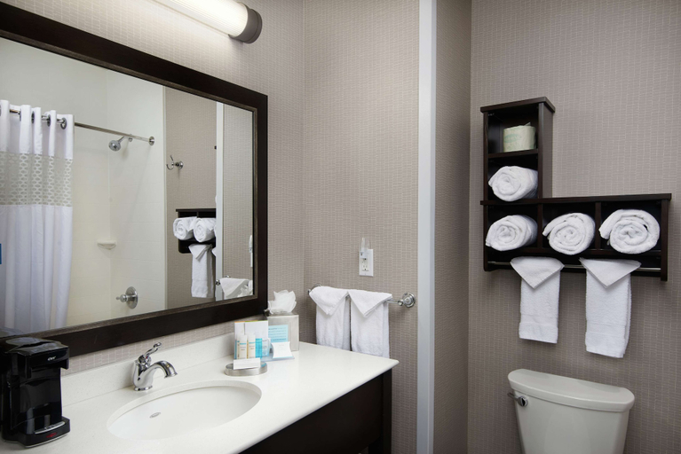 Bathroom 4, Hampton Inn & Suites Portland/Vancouver, Clark