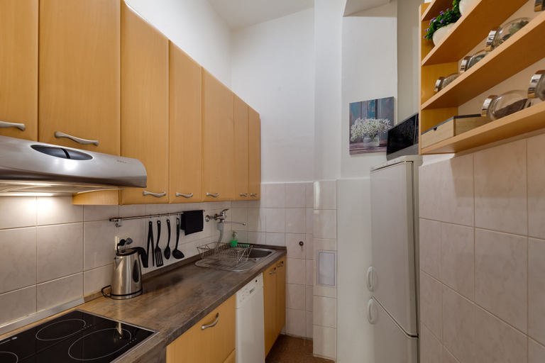 Others 5, Prague city center apartment, Praha 1