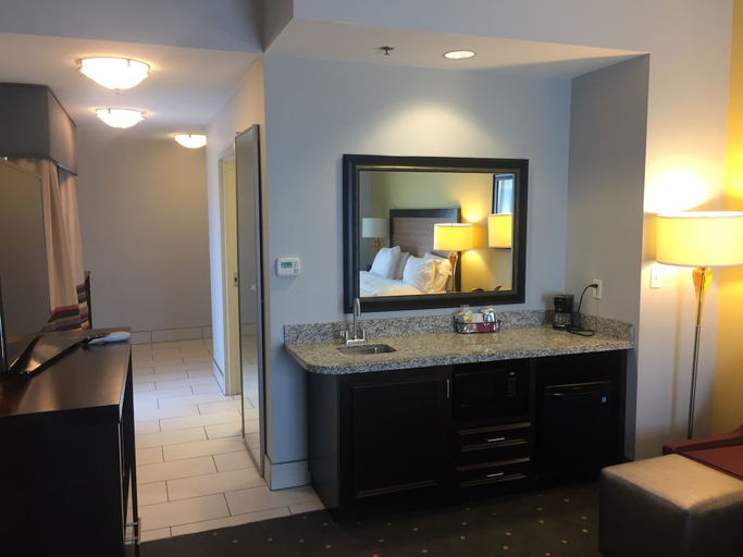 Bathroom 4, Hampton Inn & Suites Raleigh Downtown, Wake