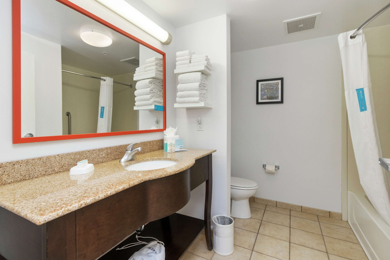 Bathroom 4, Hampton Inn & Suites Orlando-Apopka, Orange