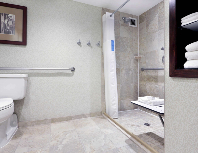 Bathroom 4, Hampton Inn Boston Natick, Middlesex