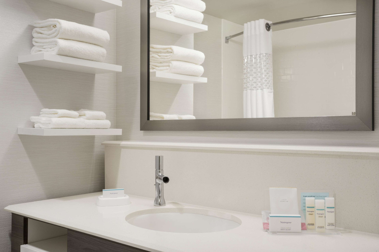 Bathroom 4, Hampton Inn & Suites West Des Moines/SW Mall Area, Dallas