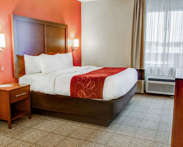 Bedroom 3, Comfort Suites Tyler South, Smith