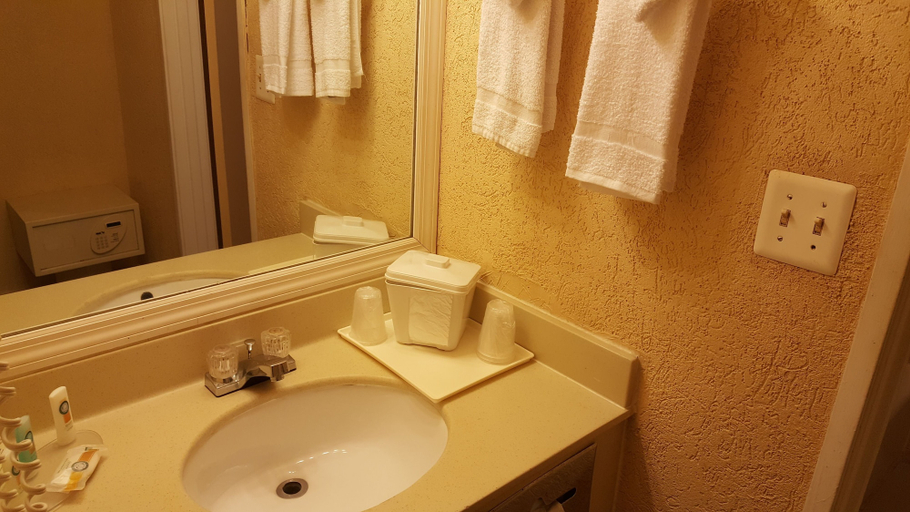 Bathroom 5, Econo Lodge Busch Gardens, Hillsborough