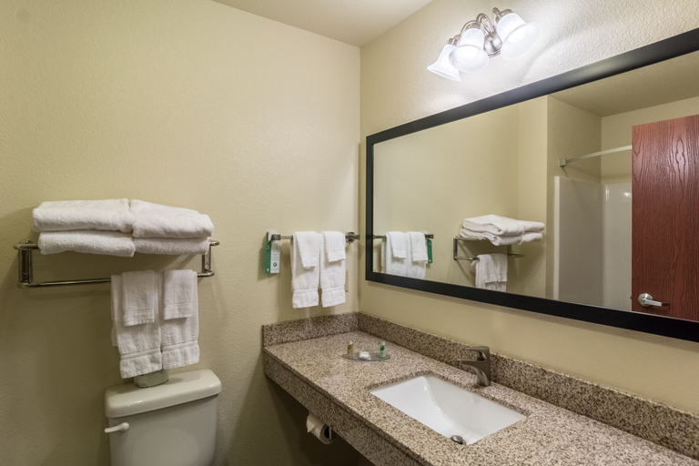 Bathroom 5, Cobblestone Hotel & Suites - Hutchinson, McLeod
