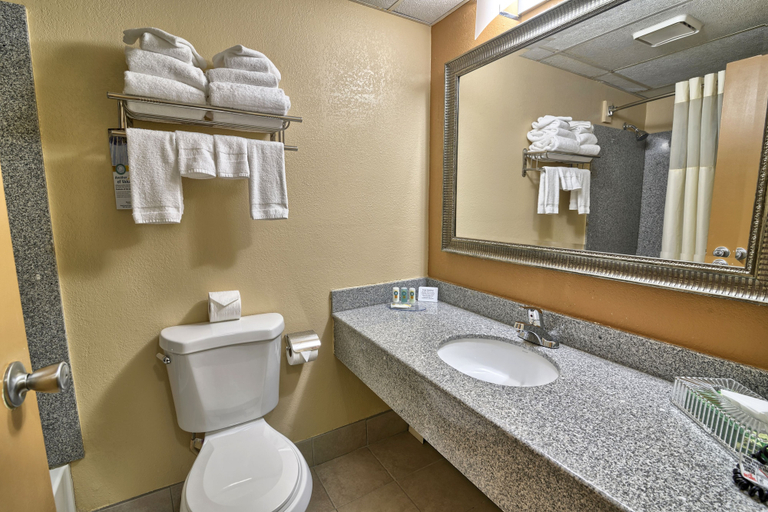 Bathroom 5, Quality Inn North Conway, Carroll
