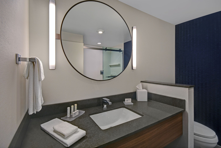 Bathroom 3, Fairfield Inn & Suites By Marriott Norfolk, Madison