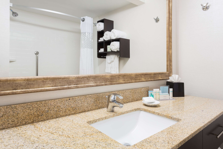 Bathroom 5, Hampton Inn Pittsburgh/West Mifflin, Allegheny
