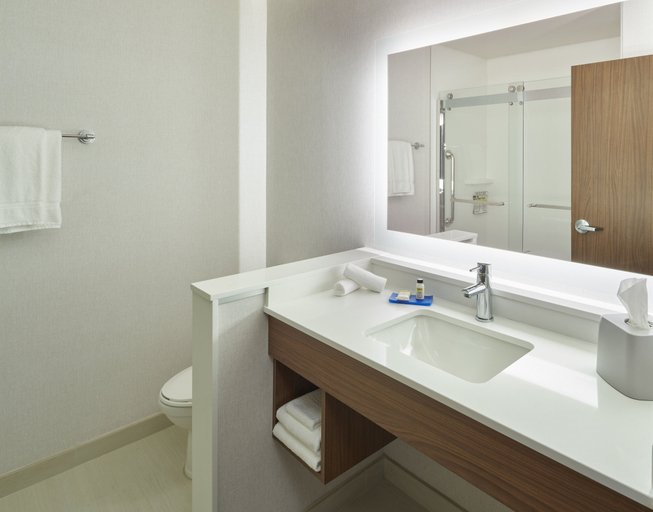 Bathroom 5, Holiday Inn Express & Suites DORAL - MIAMI, Miami-Dade