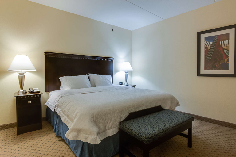 Bedroom 4, Hampton Inn & Suites Mt. Juliet, Wilson