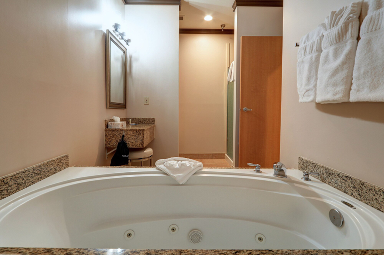 Bathroom 4, Dimond Center Hotel, Anchorage