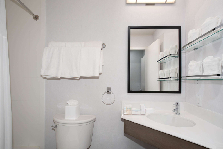 Bathroom 4, Hampton Inn Monterey, Monterey