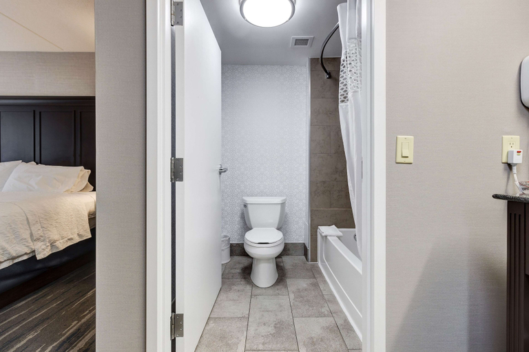 Bathroom 3, HAMPTON INN SUITES BY HILTON BRANTFORD, Brant