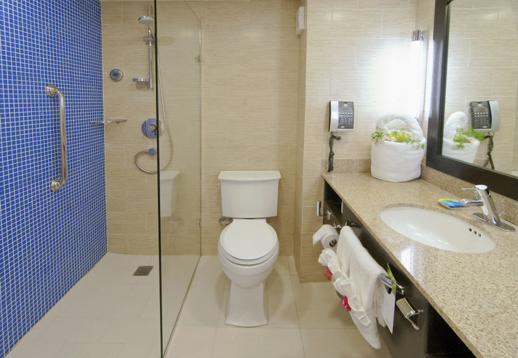 Bathroom 5, Radisson Grenada Beach Resort