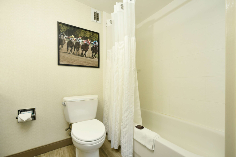 Bathroom 4, Hilton Garden Inn Saratoga Springs, Saratoga