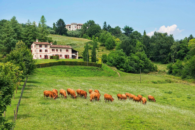 Exterior & Views 2, Agriturismo Borgoluce, Treviso