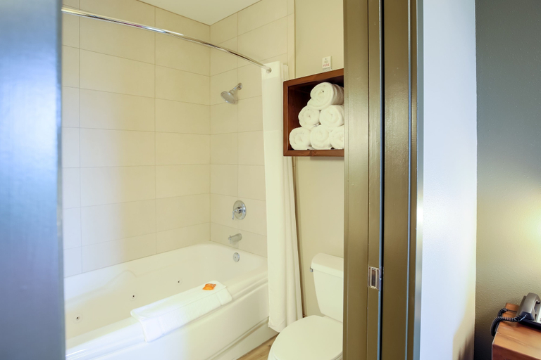 Bathroom 3, Great Wolf Lodge Illinois, Lake