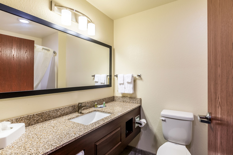 Bathroom 4, Cobblestone Hotel & Suites - Hartford, Washington