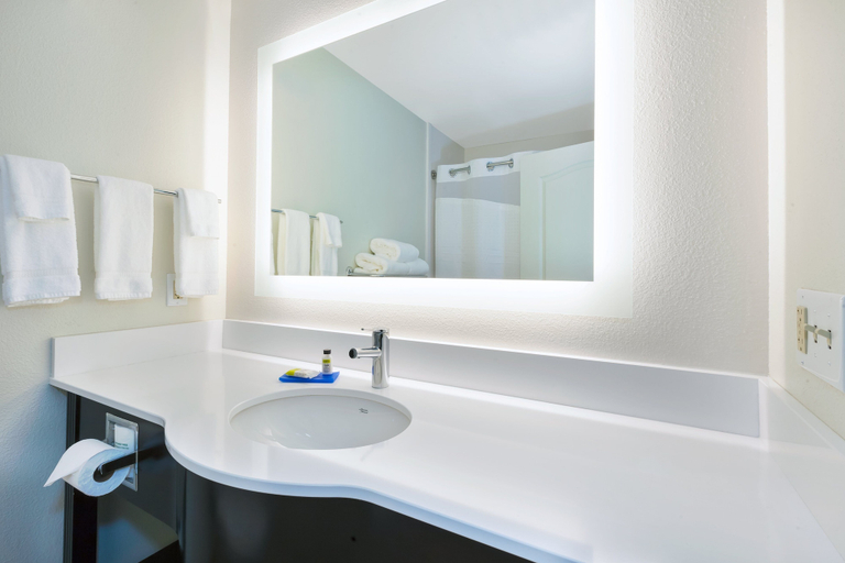 Bathroom 4, Holiday Inn Express & Suites EFFINGHAM, Effingham