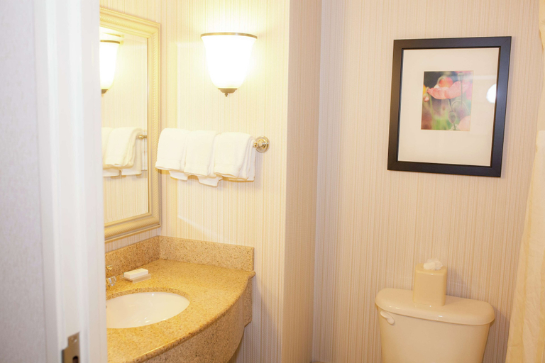Bathroom 4, Hilton Garden Inn Redding, Shasta
