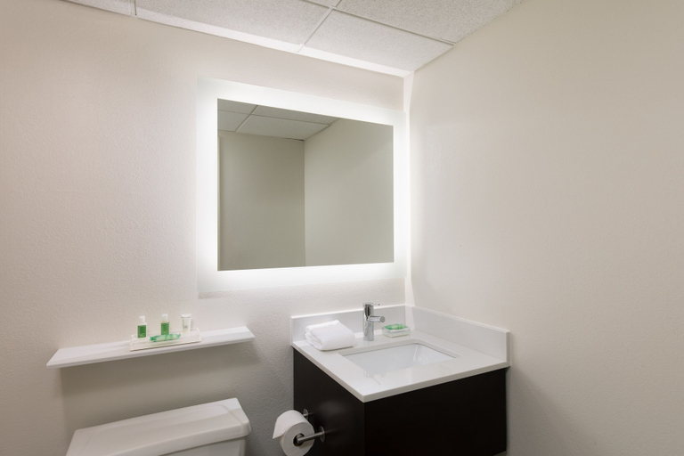 Bathroom 2, Holiday Inn CLARK - NEWARK AREA by IHG, Union