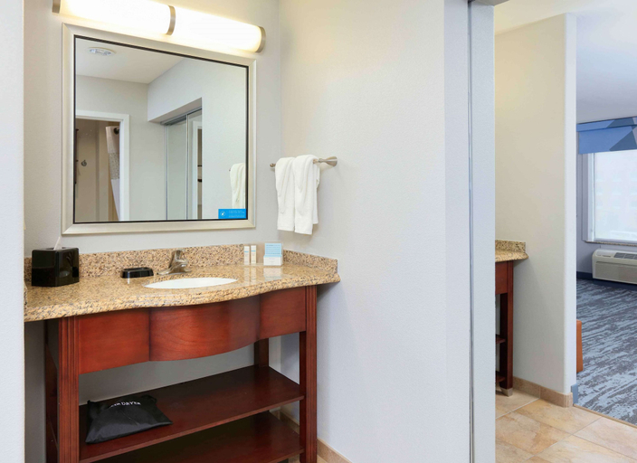 Bathroom 4, Hampton Inn & Suites Dallas-Arlington-South, Arlington
