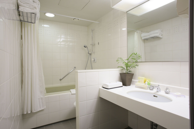 Bathroom 5, International Resort Hotel Yurakujo, Tomisato