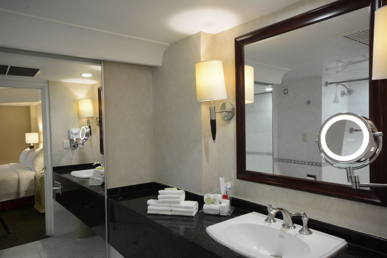 Bathroom 4, Hotel Misión Pachuca, Pachuca de Soto
