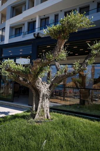 Exterior & Views 2, Sea & Sand Hotel, Vlorës