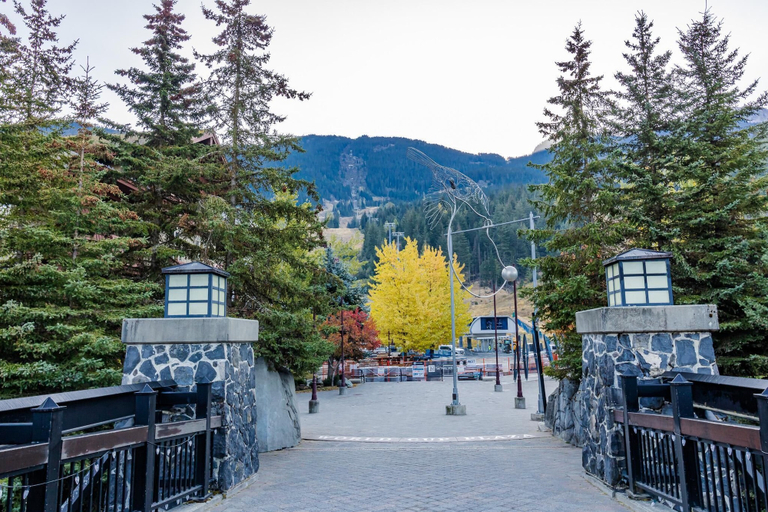 Exterior & Views 2, Whistler Vacation Club Lake Placid Lodge - 113, Squamish-Lillooet
