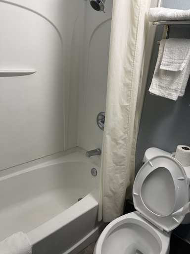 Bathroom 3, Jackson motel, Rutherford