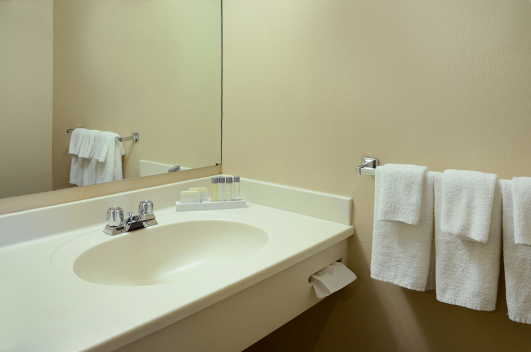 Bathroom 3, Greenwood Inn & Suites, Division No. 5