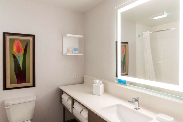 Bathroom 4, Hampton Inn Holland, Ottawa