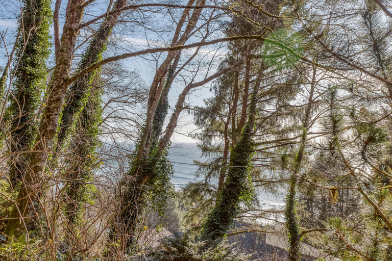 Others 5, 38445 Reed, Tillamook