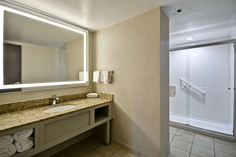 Bathroom 4, Embassy Suites Hotel Charlotte, Mecklenburg