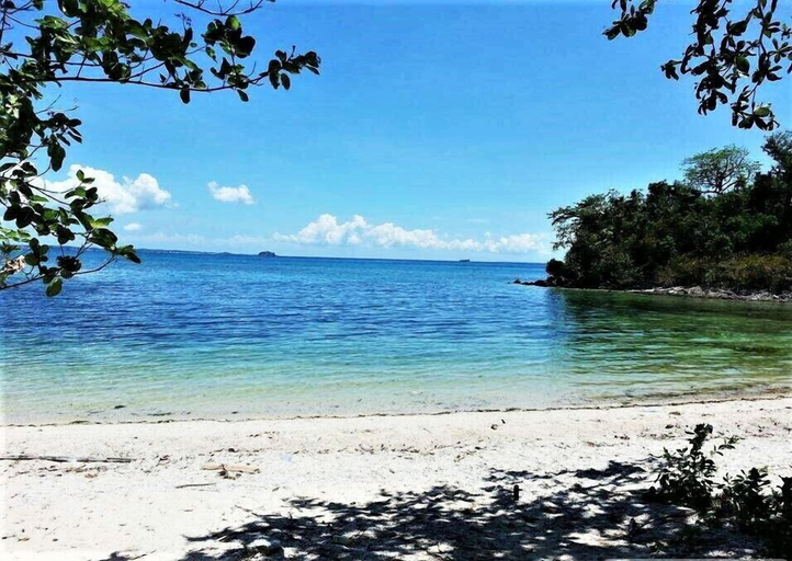 Others 4, Zhang Resort and Dive Center OPC, Daanbantayan