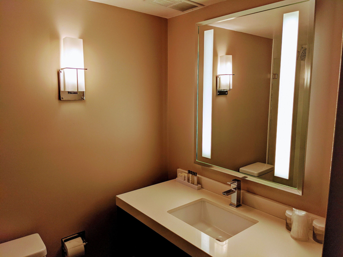 Bathroom 5, Hotel Capstone, Tuscaloosa