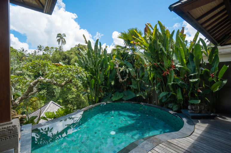 Swimming Pool 2