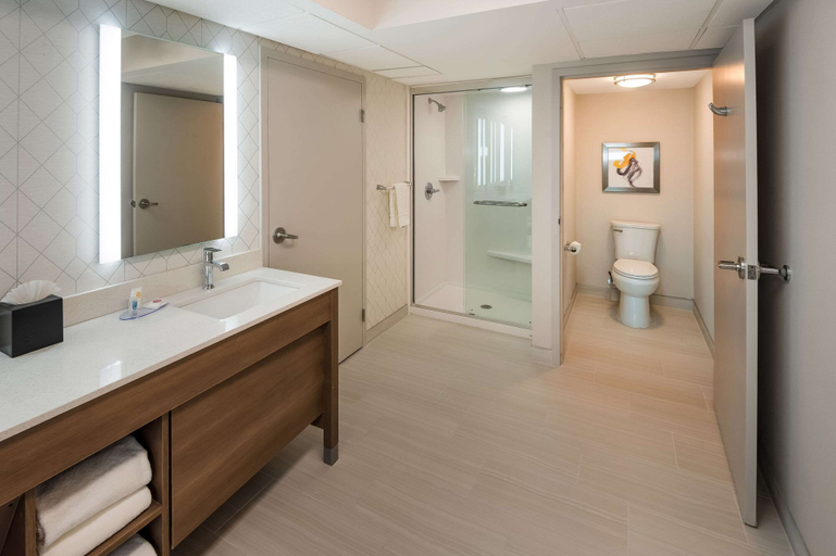 Bathroom 4, Comfort Inn & Suites Fishers - Indianapolis, Hamilton