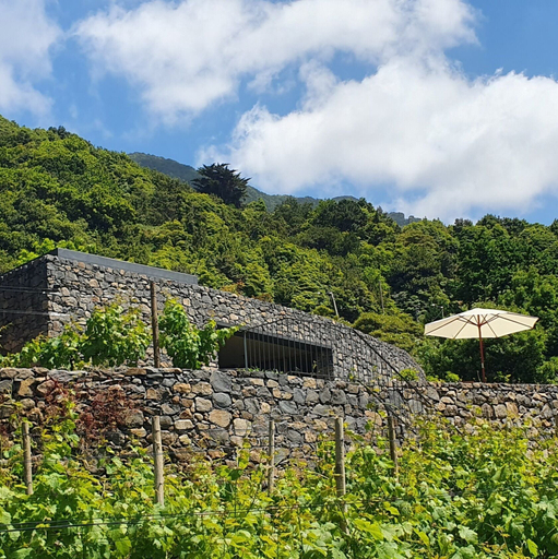Exterior & Views 2, Terrabona Nature & Vineyards, São Vicente