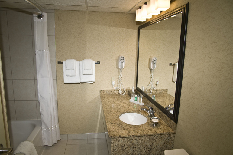 Bathroom 4, Best Western Plus Nor'wester Hotel & Conference Centre, Thunder Bay