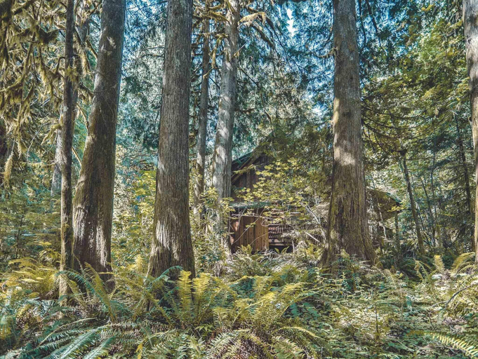 Others 5, Bear Den Log Cabin, Clackamas