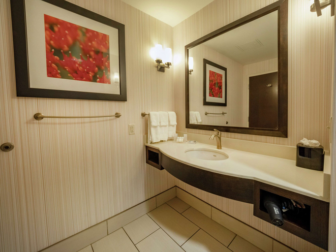 Bathroom 4, Hilton Garden Inn Buffalo Downtown, Erie
