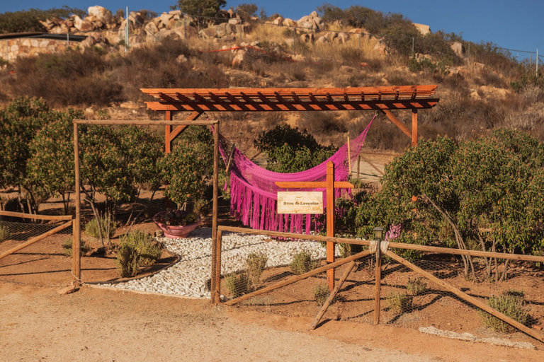 Exterior & Views 2, Brisa Del Valle Hotel Boutique, Ensenada