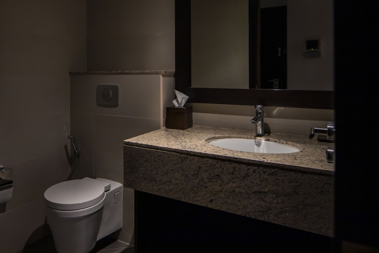 Bathroom 2, Relaxing 1 bedroom apartment - Anantara, Dubai
