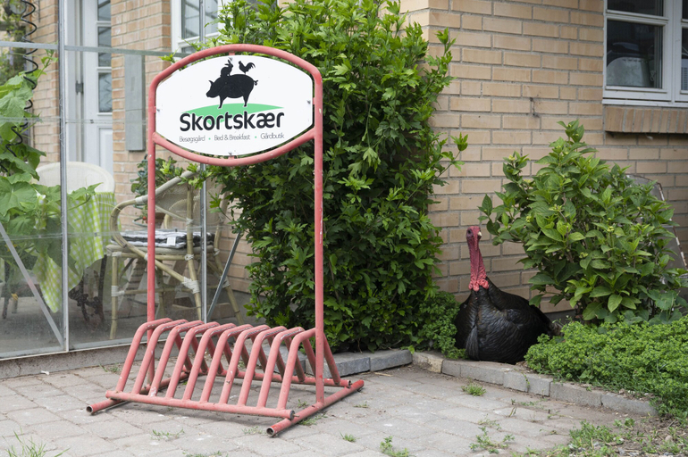 Exterior & Views 2, Skortskær Bondegårdsferie, Kalundborg